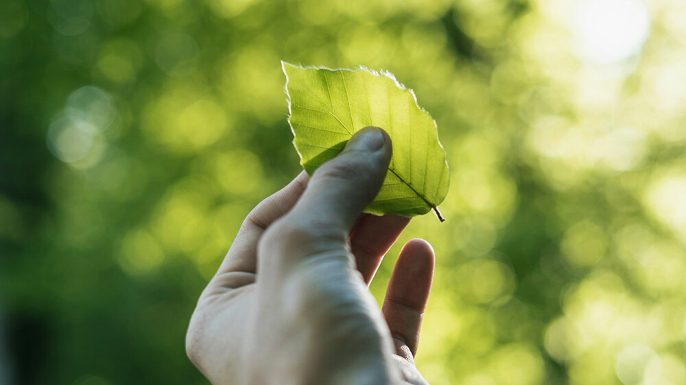 Tecnologia de proteção do ambiente